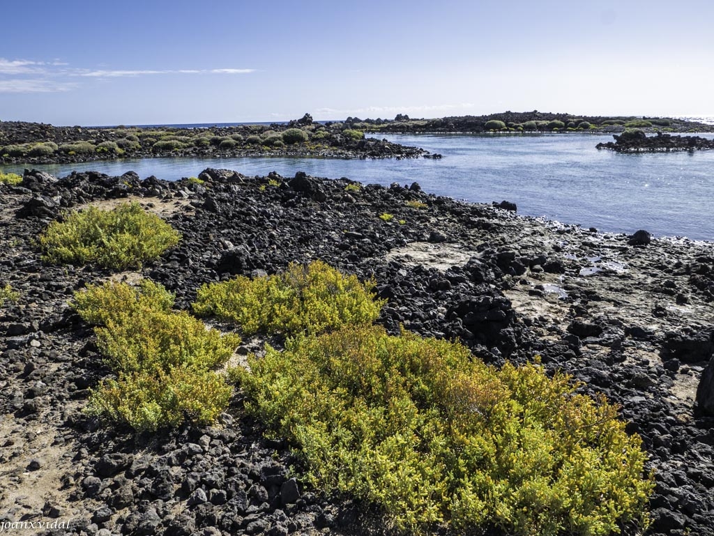 ISLA DE LOBOS