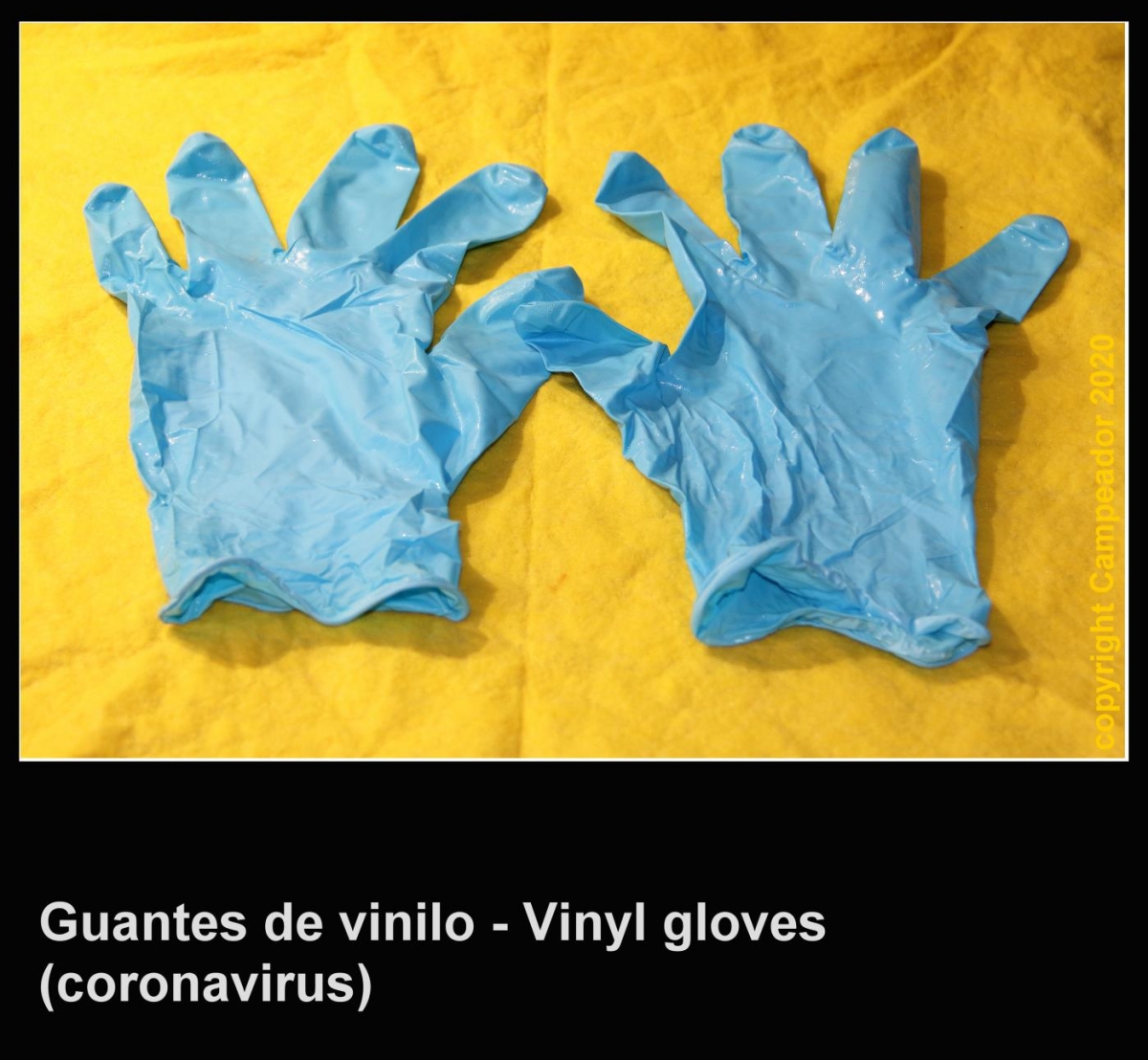 Vinyl gloves - Guantes de vinilo. Coronavirus 20-abril-2020. Photo by Campeador (Mario Cid).