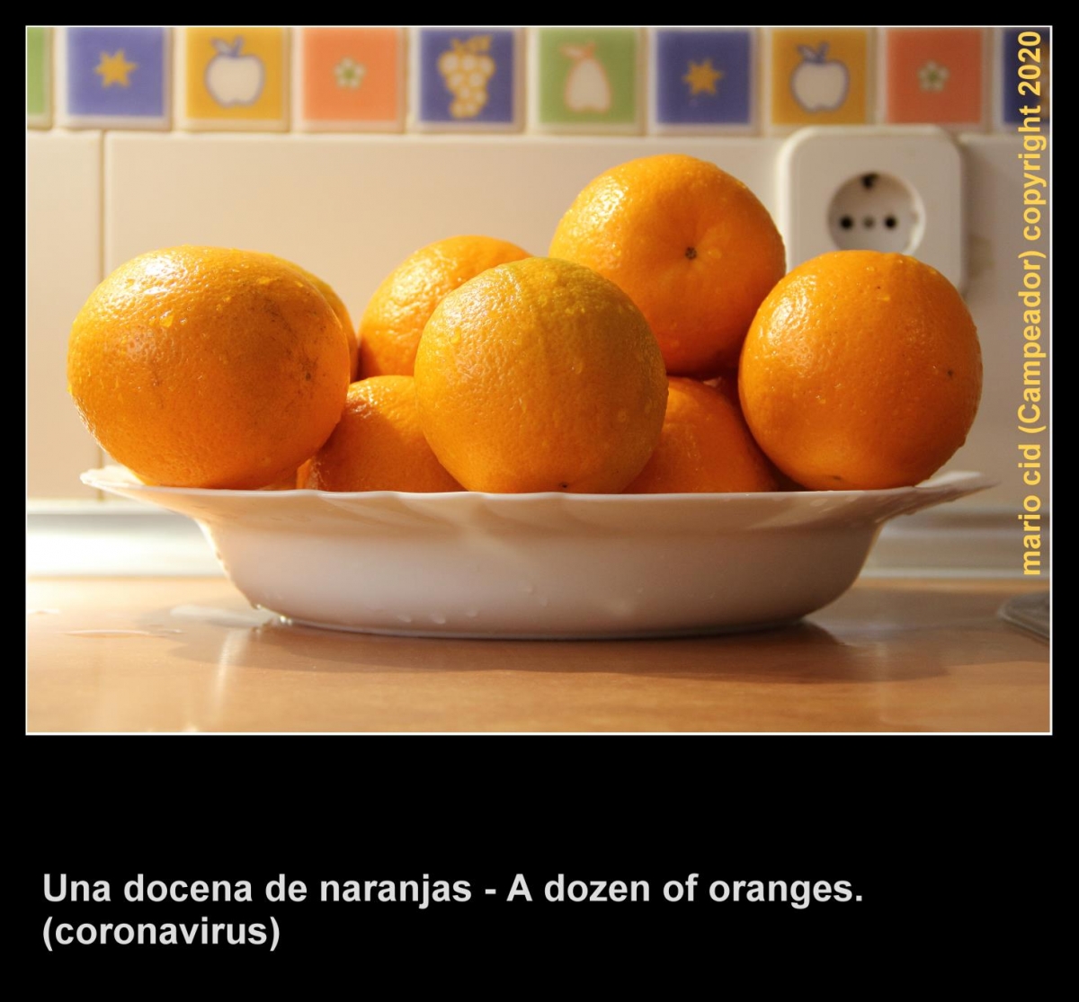 Una docena de naranjas / A dozen of oranges (coronavirus 20/abril/2020). Photo by Campeador.