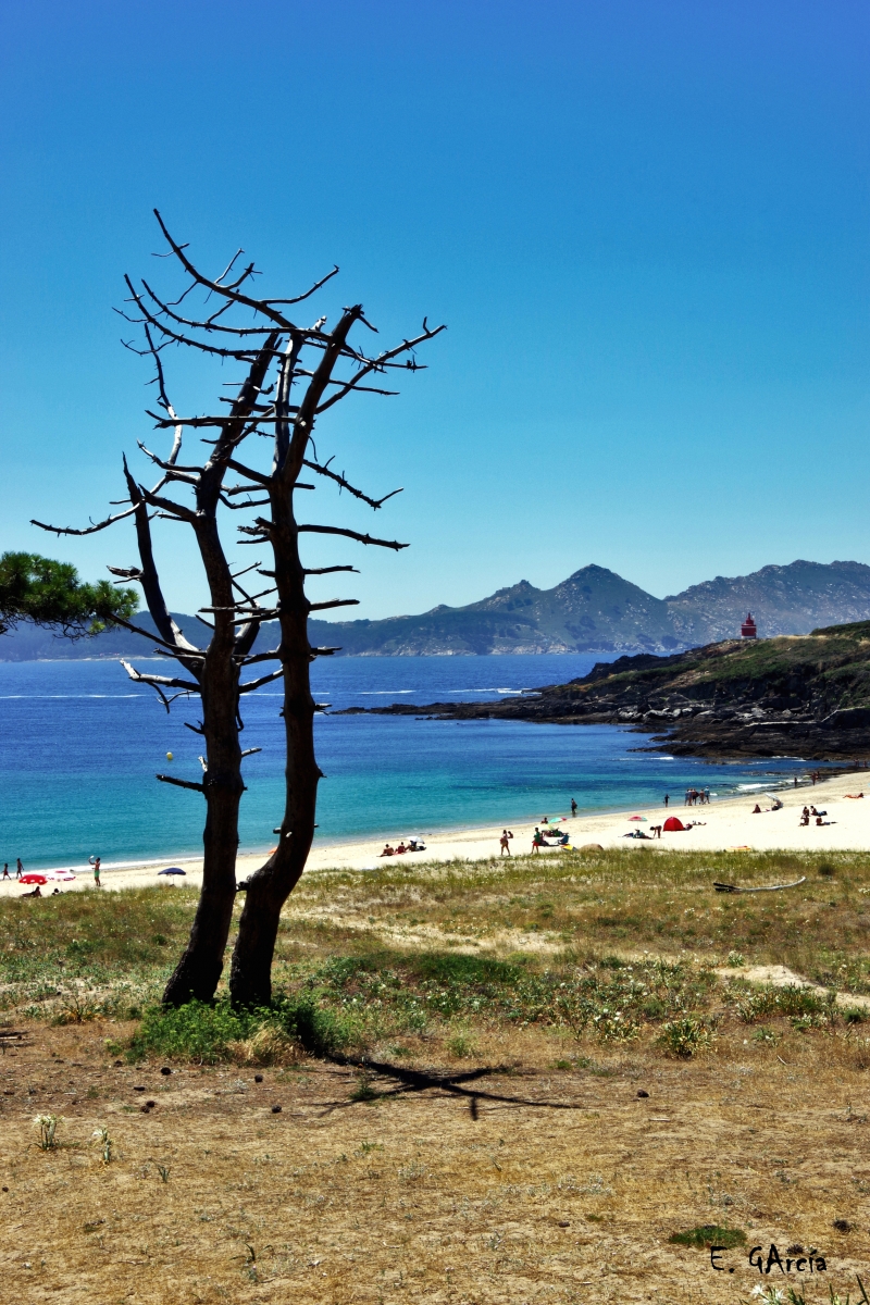 Playa de Melide II