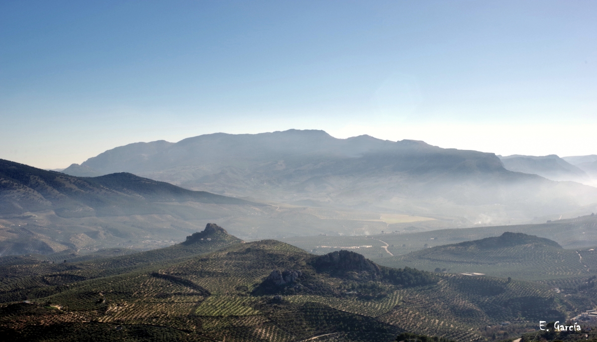 Das de Niebla y Olivos