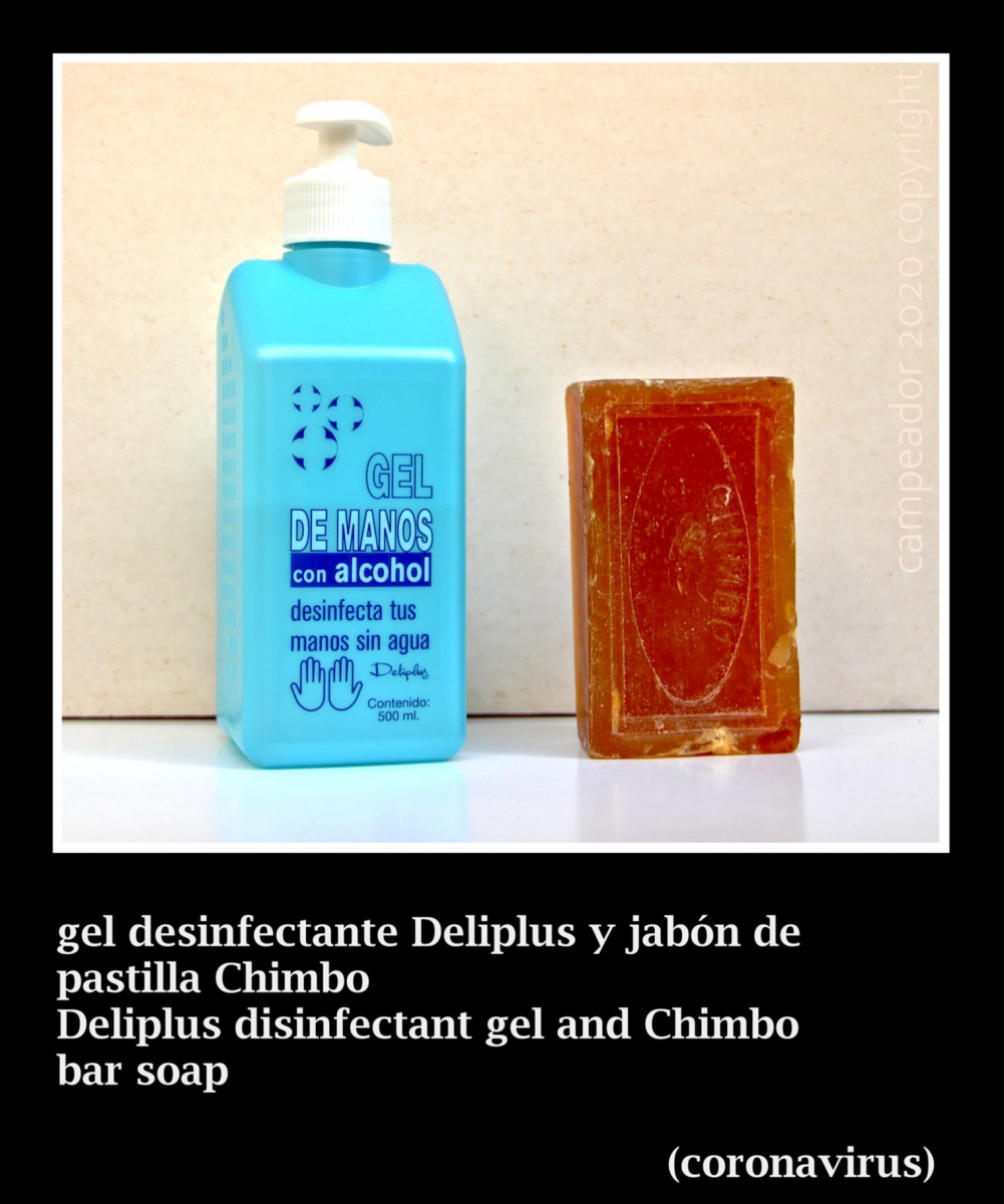 Deliplus disinfectant gel and Chimbo bar soap - gel desinfectante Deliplus y jabon de pastilla Chimbo. Photo by Campeador.