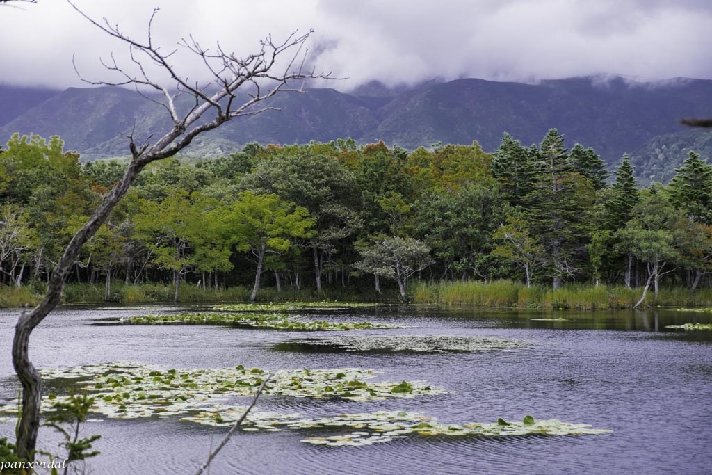 GOKO LAKES