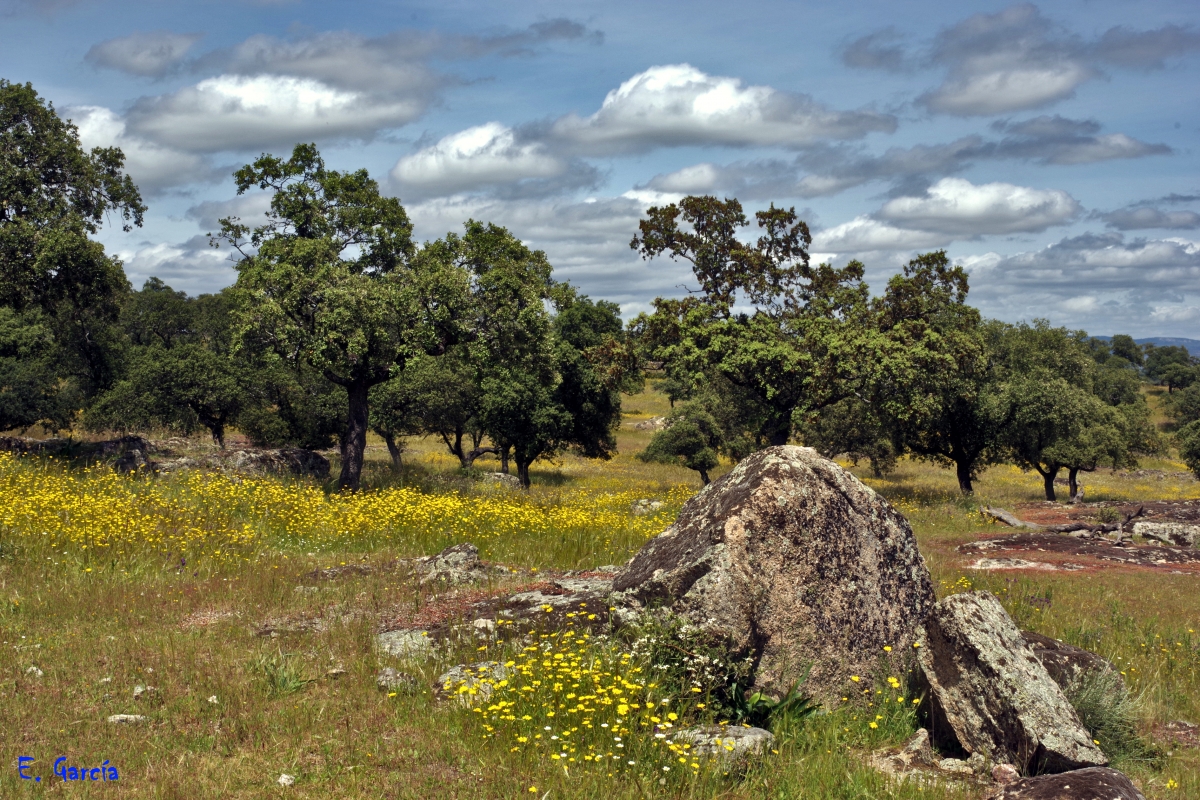 Primavera pasada