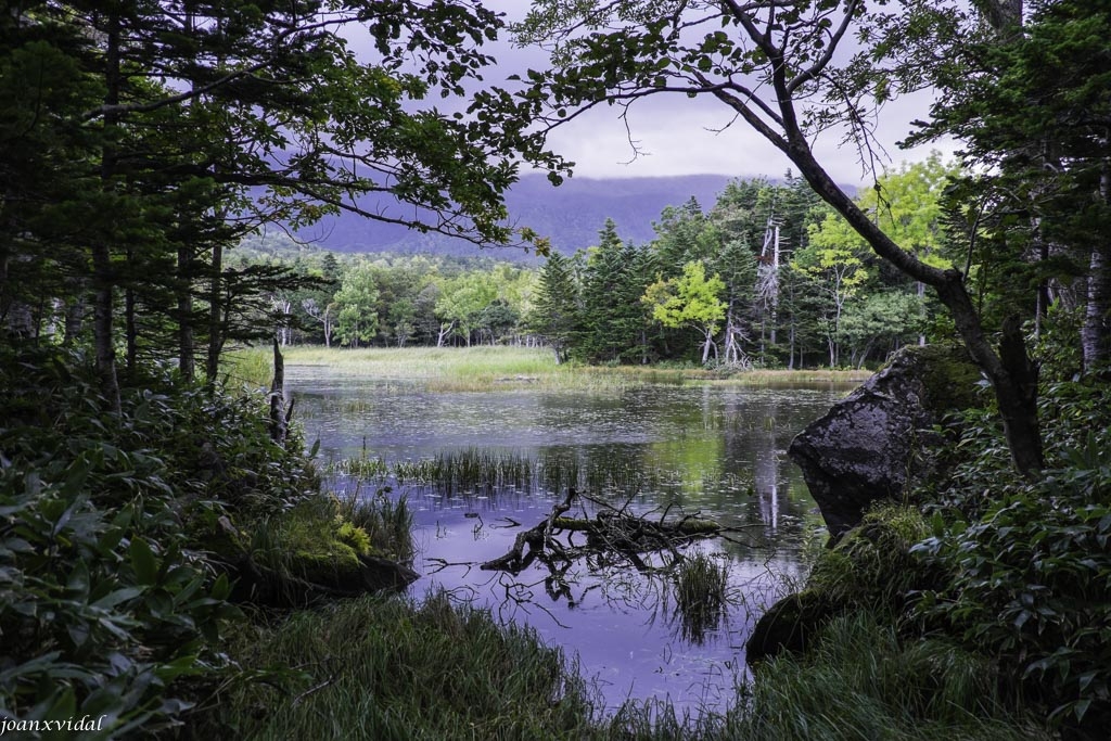 GOKO LAKES