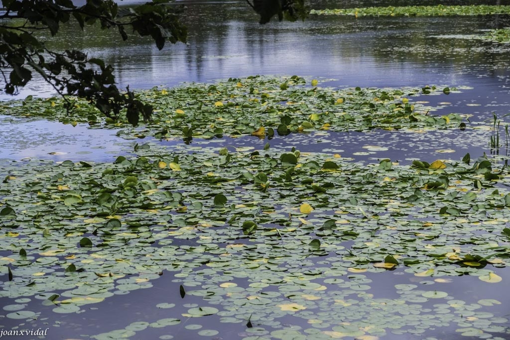 GOKO LAKES