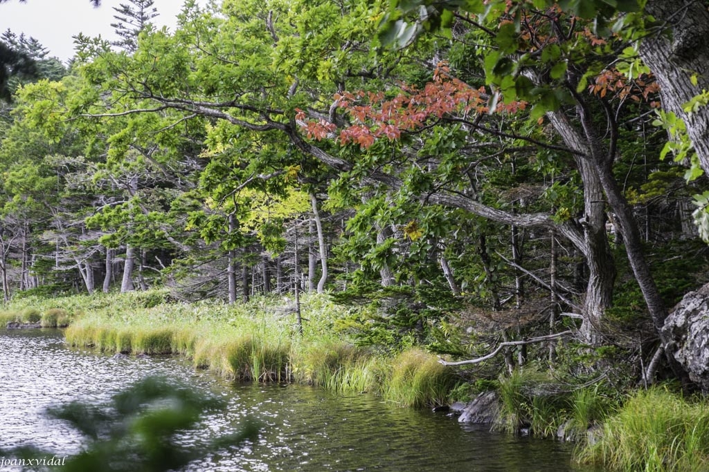 GOKO LAKES