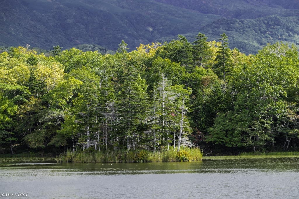 GOKO LAKES