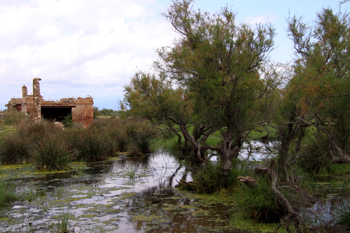 Paque natural Aiguamolls de l\'Empord