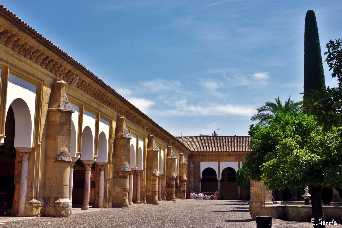 Patio de los Naranjos