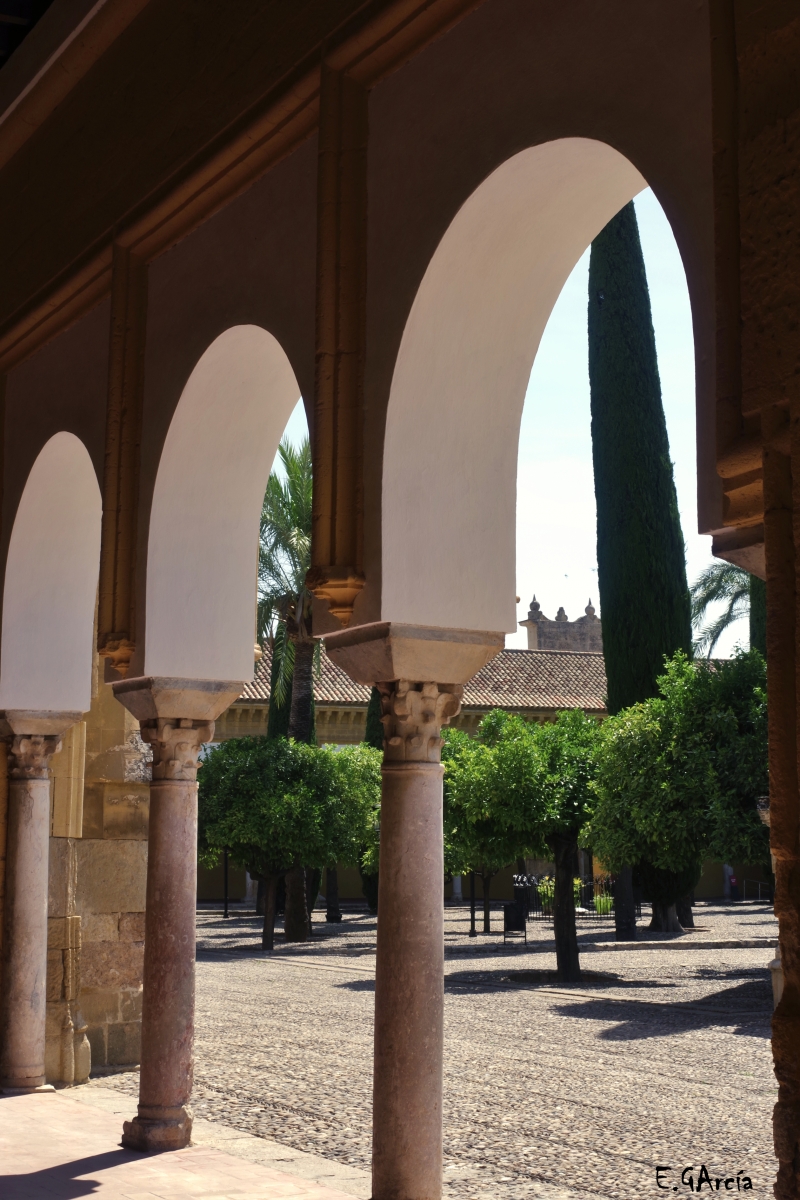 Patio de los Naranjos II