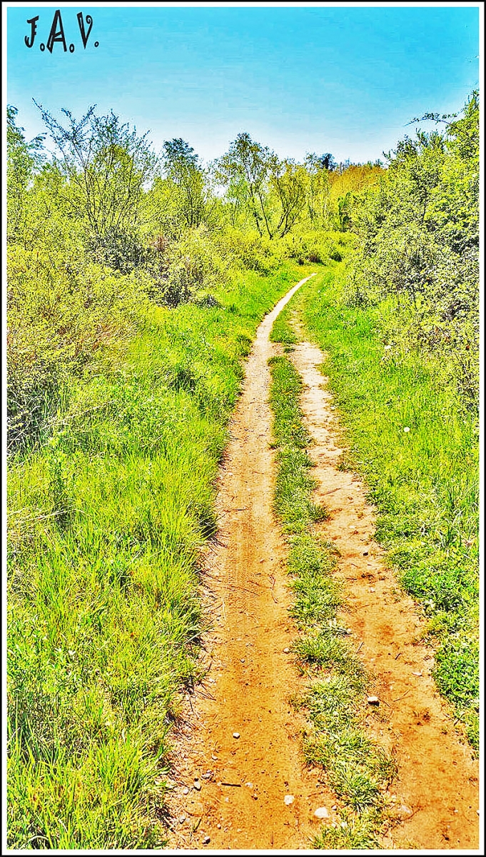 Caminante no hay camino ...