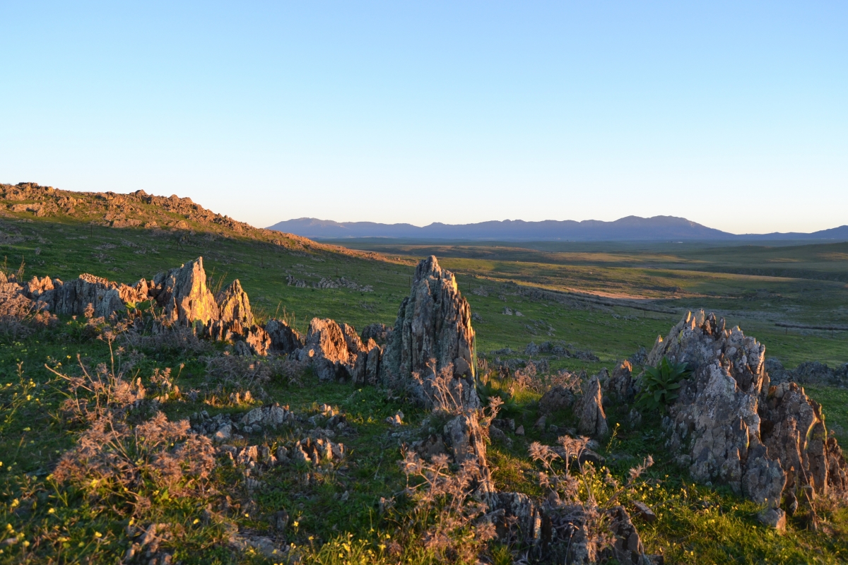 La Serena