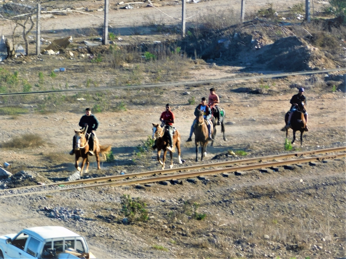 Los cuatreros en el paseo dominical jajaja