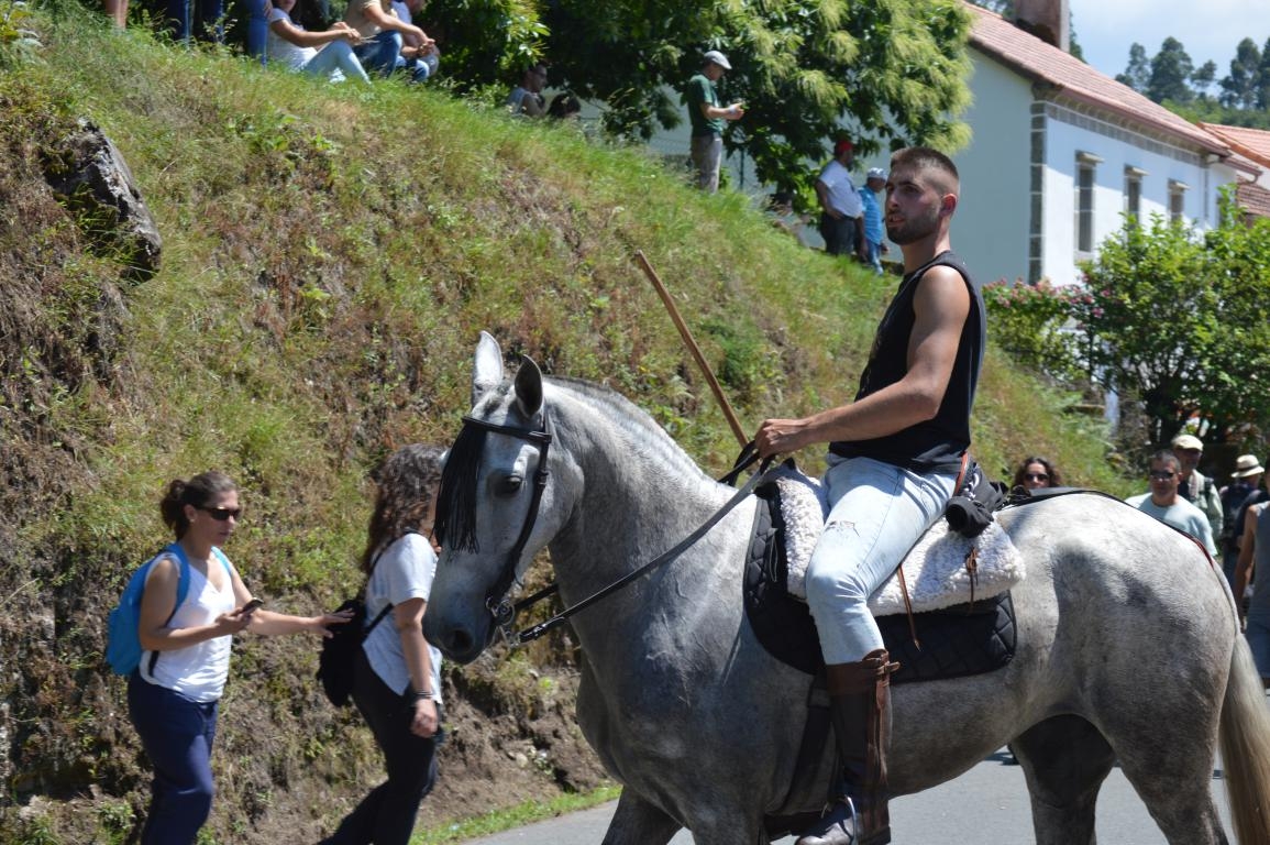 Rapa das Bestas de Sabucedo. A Estrada (pontevedra, Galicia) Festa de interese turstico internacional. Caballos 2018