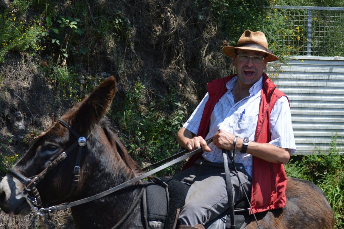 Rapa das Bestas de Sabucedo. A Estrada (pontevedra, Galicia) Festa de interese turstico internacional. Caballos 2018