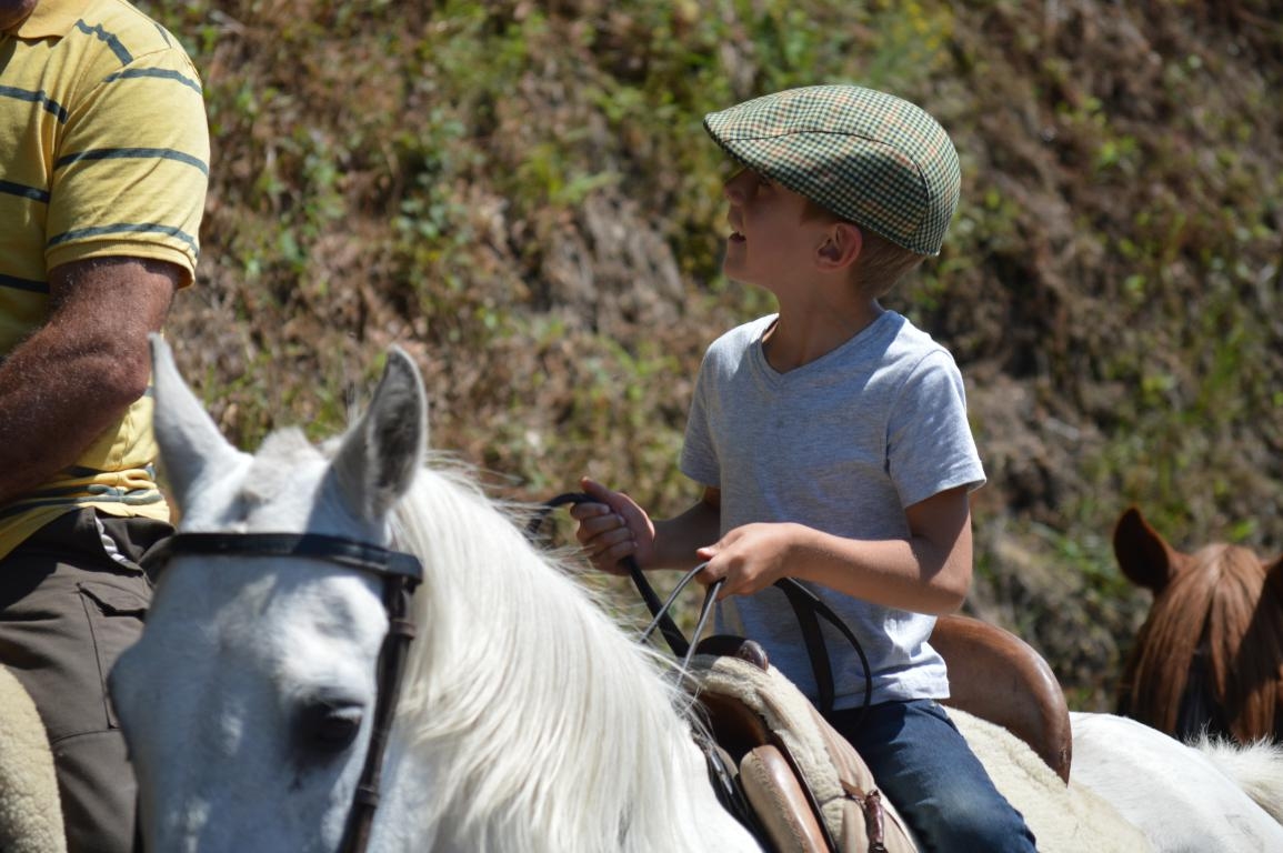 Rapa das Bestas de Sabucedo. A Estrada (pontevedra, Galicia) Festa de interese turstico internacional. Caballos 2018
