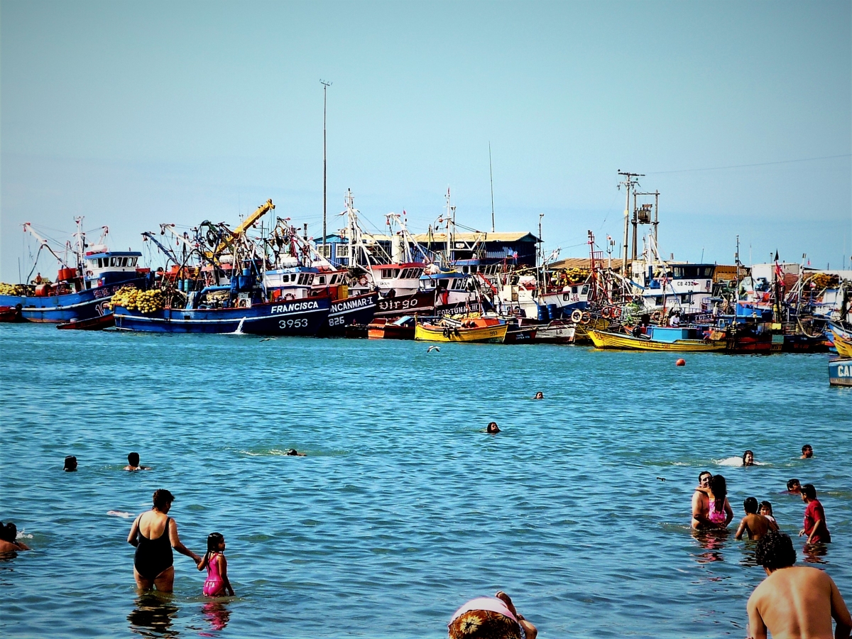 El muelle con sus botes pesqueros