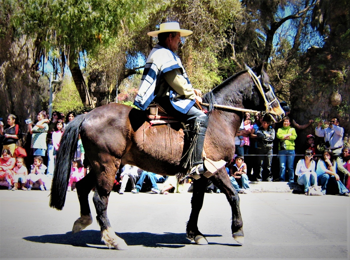 Aqu es donde se luce el mejor 🏇 y la vestimenta