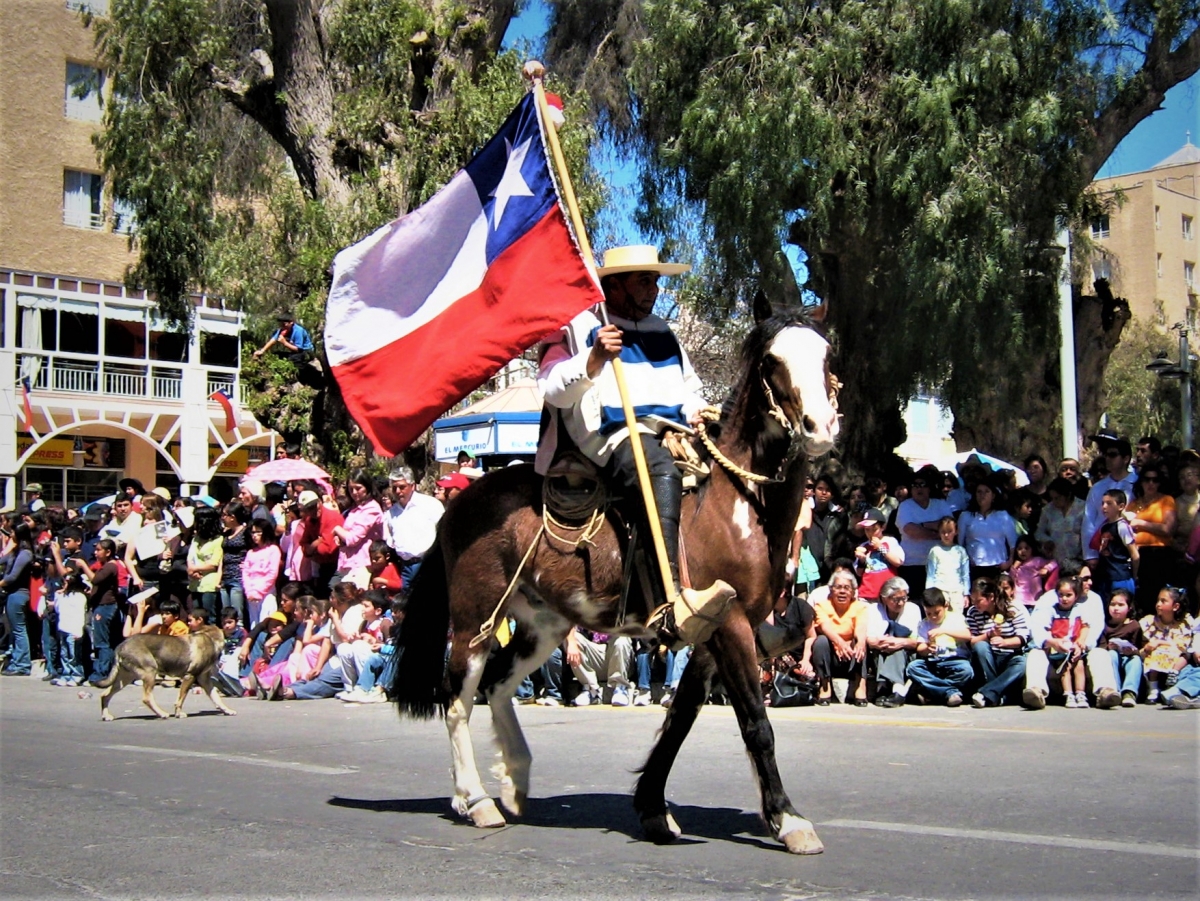 The one who carried the Chilean flag could not be missing