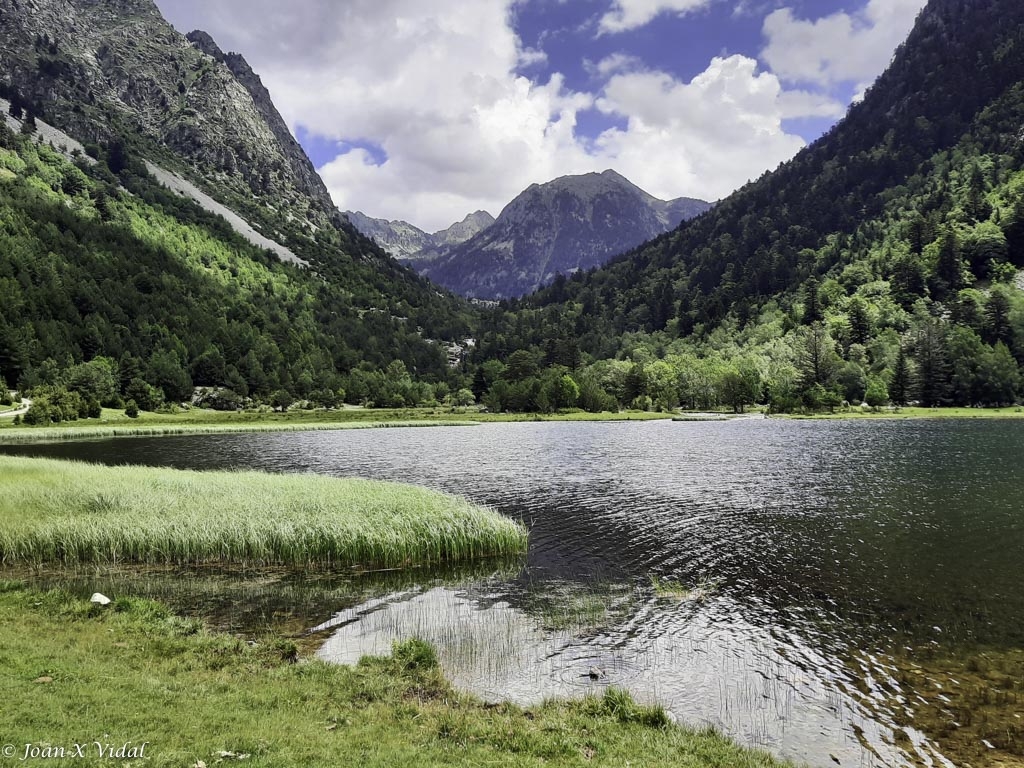 ESTANY DE LA LLEBRETA