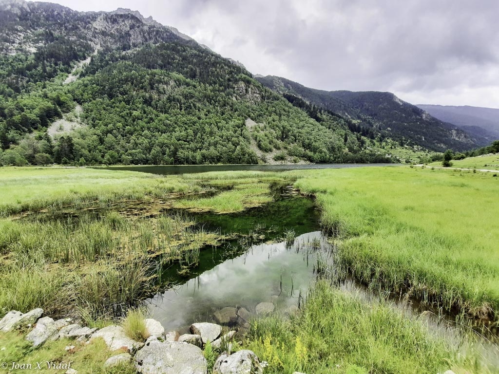 ESTANY DE LA LLEBRETA