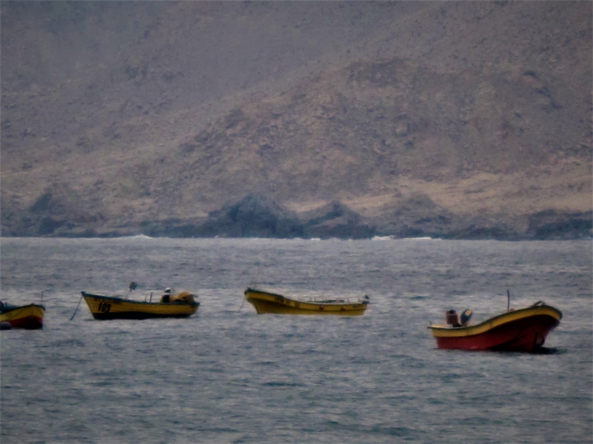 Botes esperando salir a la pesca junto a sus dueos