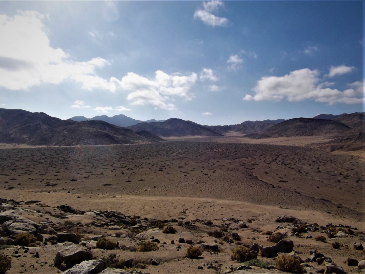 Foto concurso, categora Chile Norte, desierto o altiplano