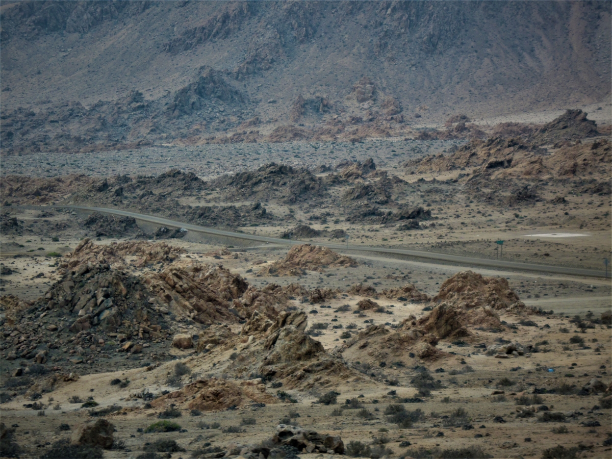 Foto concurso, categora Chile Norte, desierto o altiplano