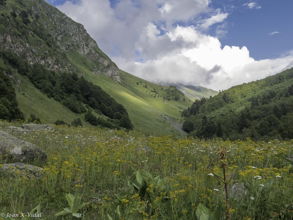 VALL DE VARRADS