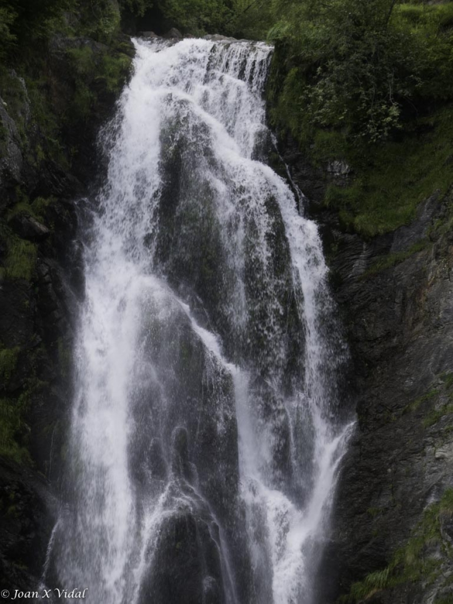 MANTO DE AGUA