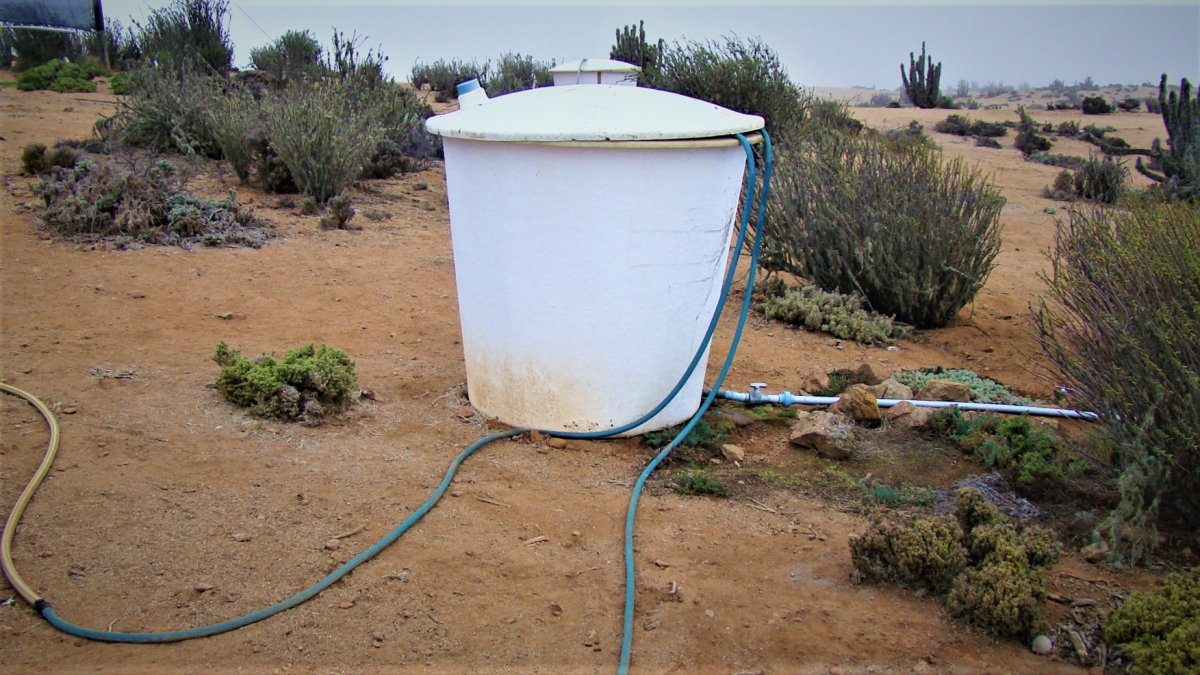 Hay todo un sistema para acumular el agua