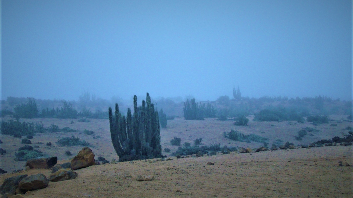 Otra vista del lugar con mucha neblina