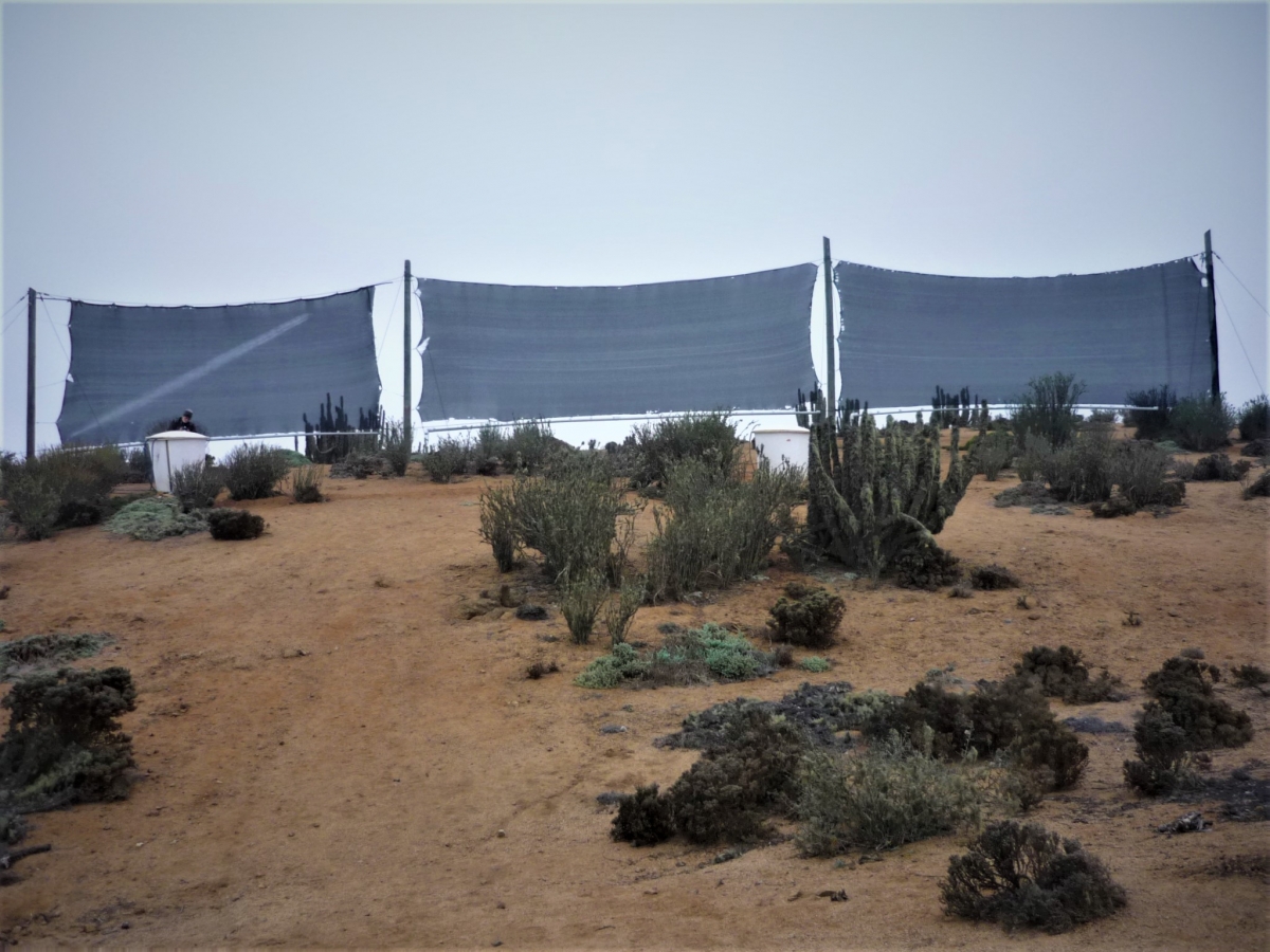 El atrapa niebla, lo ms artesanal posible jajajaja