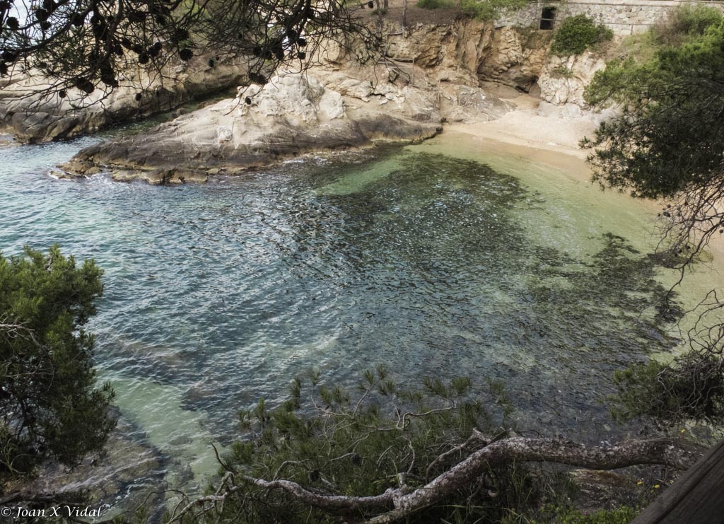 CALA DEL PI