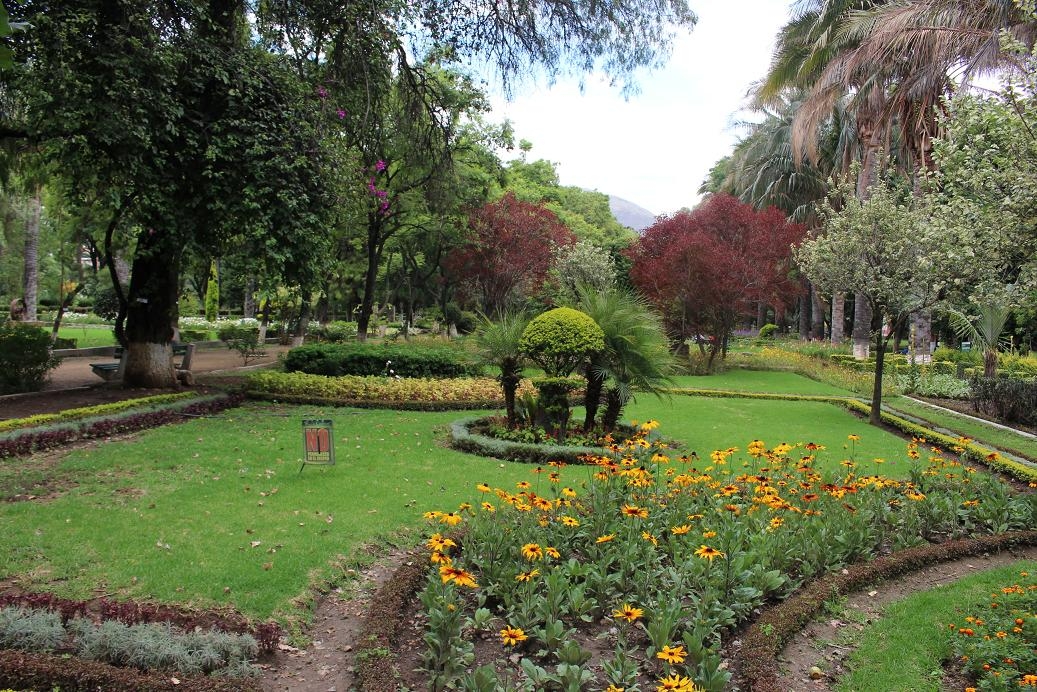Jardin botanico Martin Cardenas