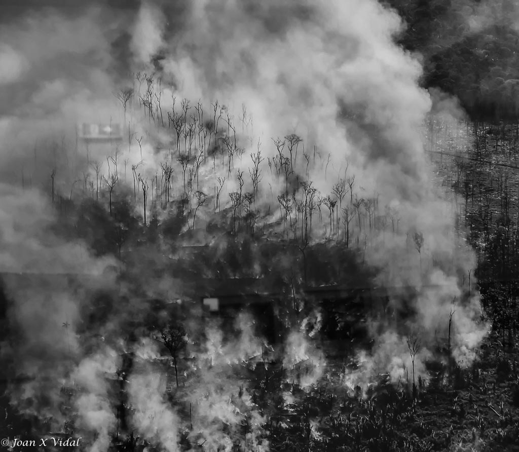 DEFORESTACI I CANVI CLIMTIC