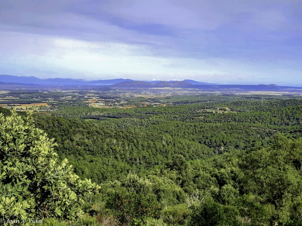 GAVARRES - BAIX EMPORD