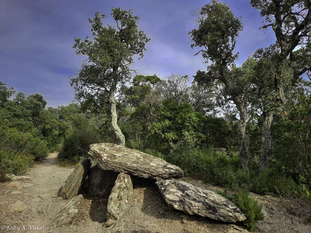 DOLMEN DELS TRES CAIRATS