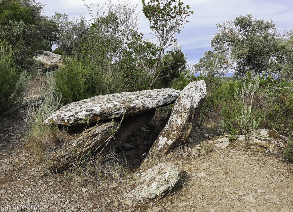 NECROPOLIS MEGALITICA