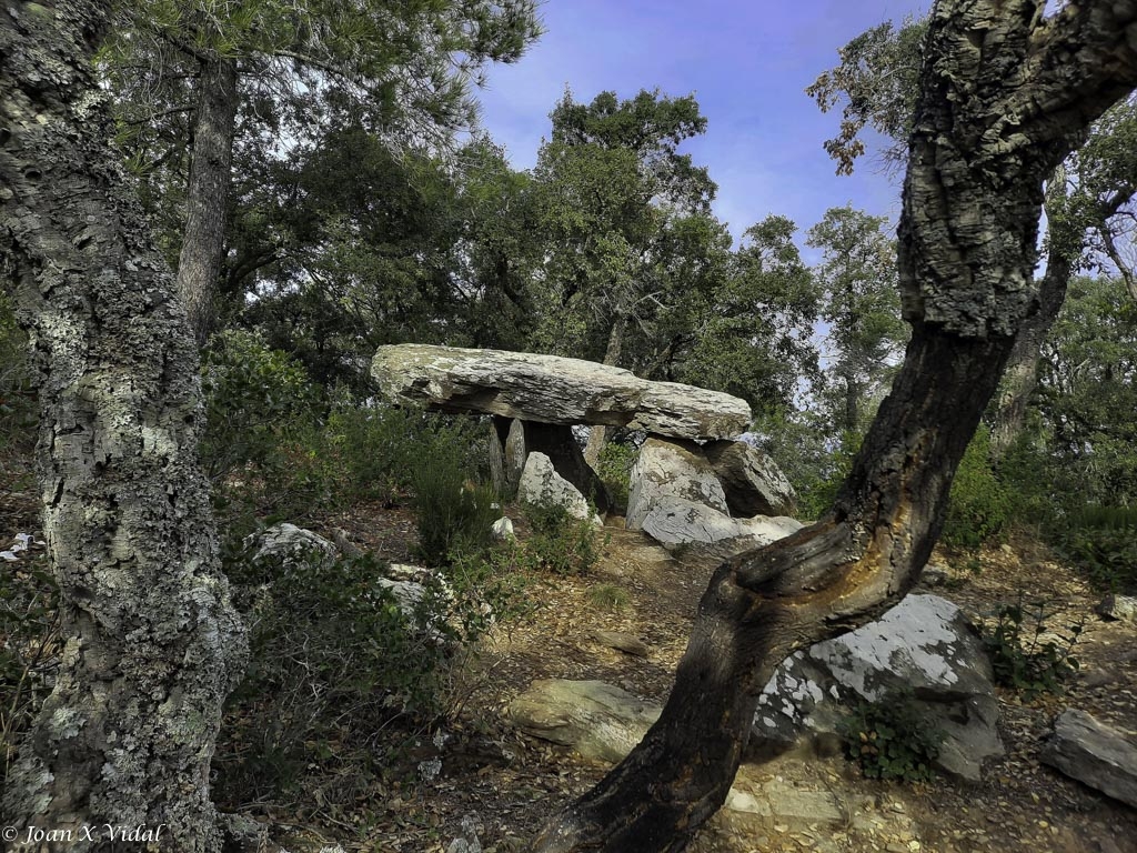 DOLMEN DELS TRES PEUS