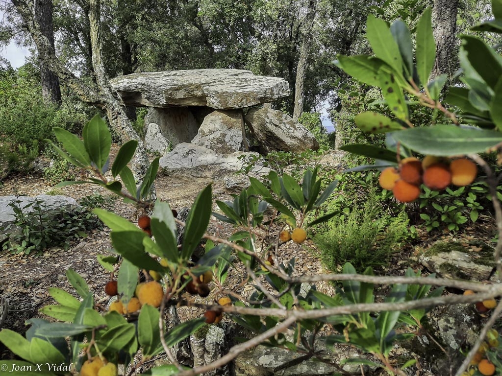 DOLMEN DELS TRES PEUS