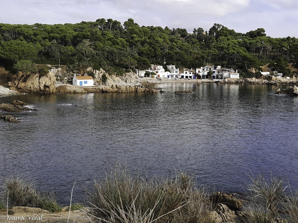 CALA S\'ALGUER