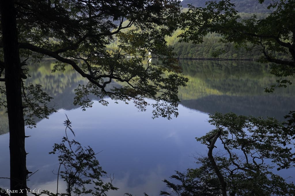 LLAC YUNOKO