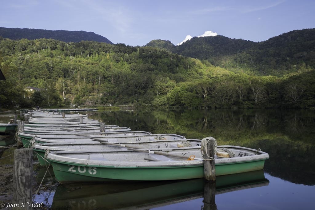 BARQUES EN REPS