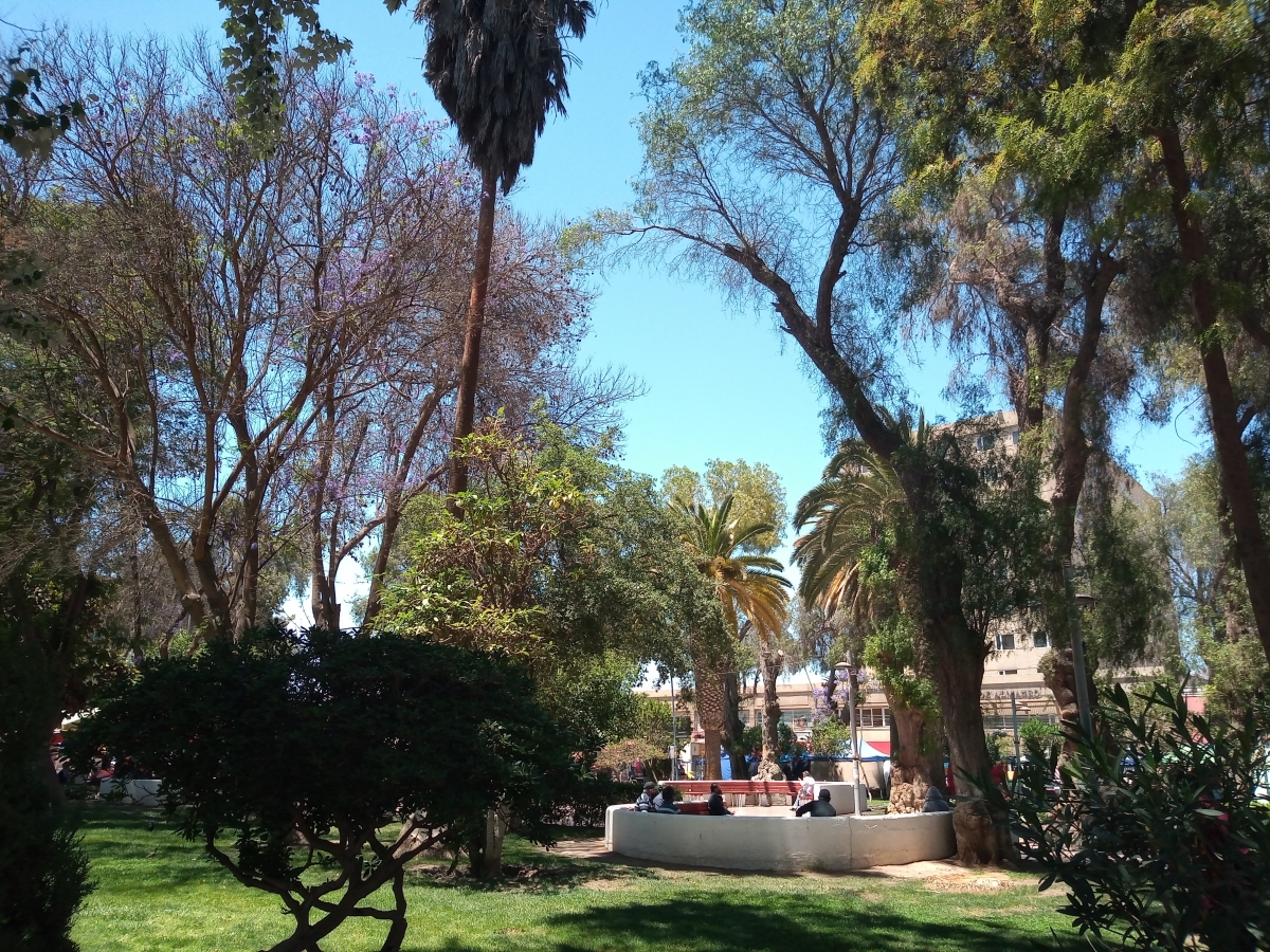 Vista de la plaza de Copiap