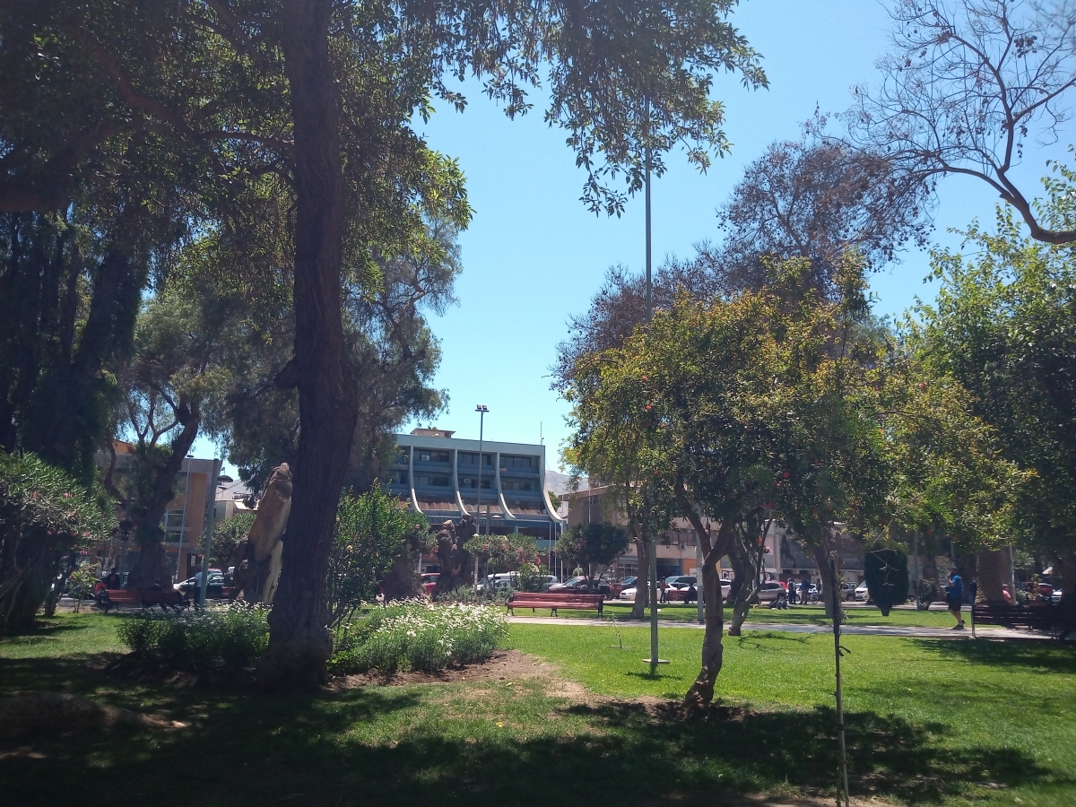 Vista de la plaza de Copiap 2