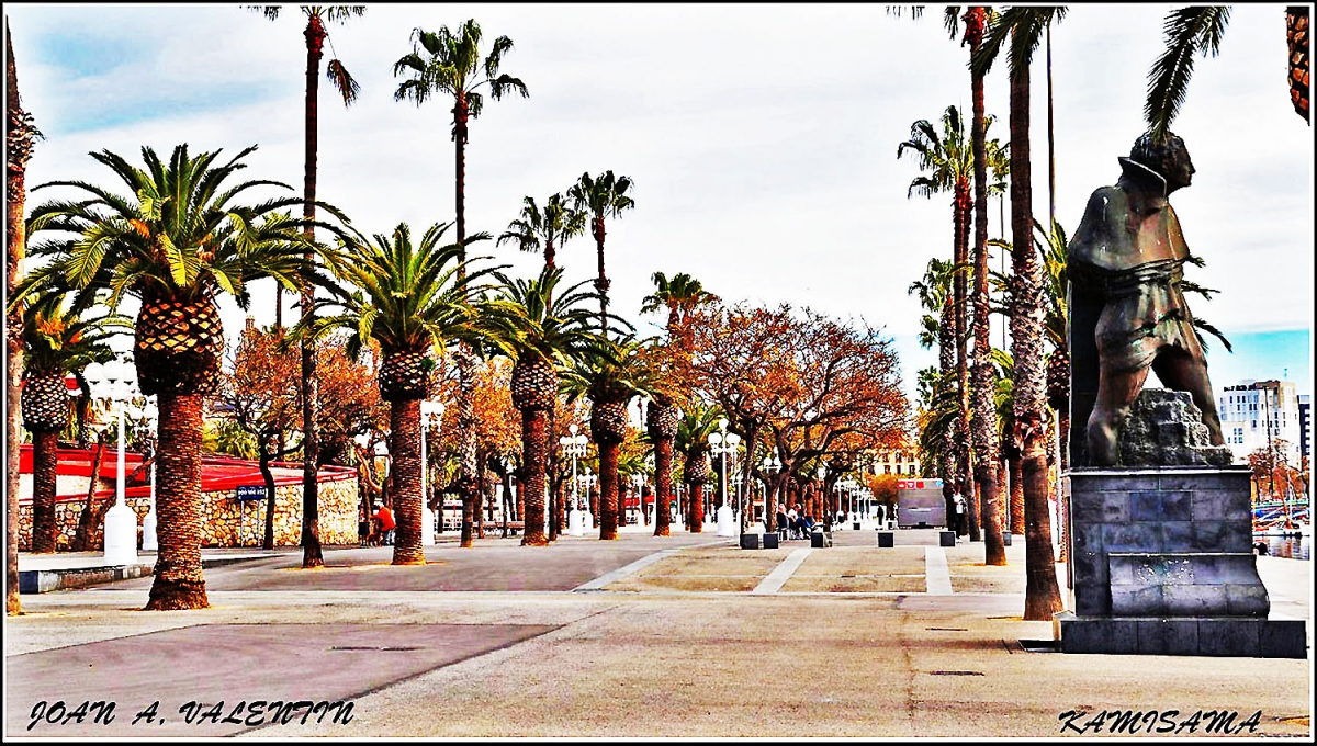 Moll de la Fusta - Muelle de la Madera. 1