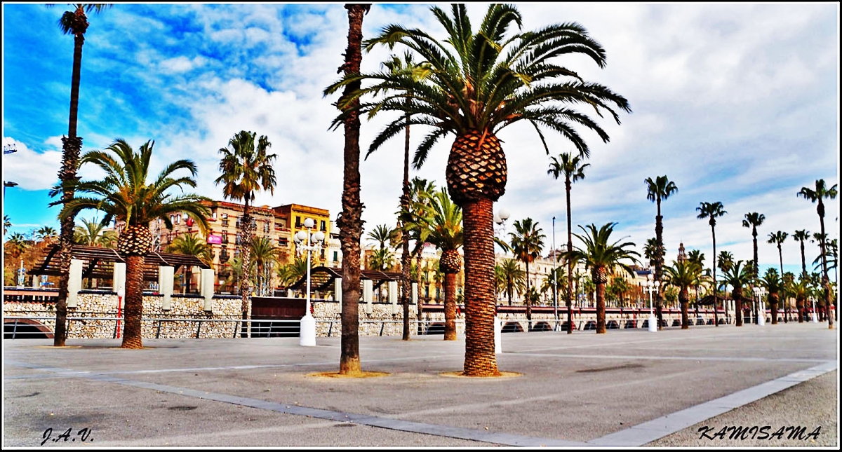 Moll de la Fusta - Muelle de la Madera. 2