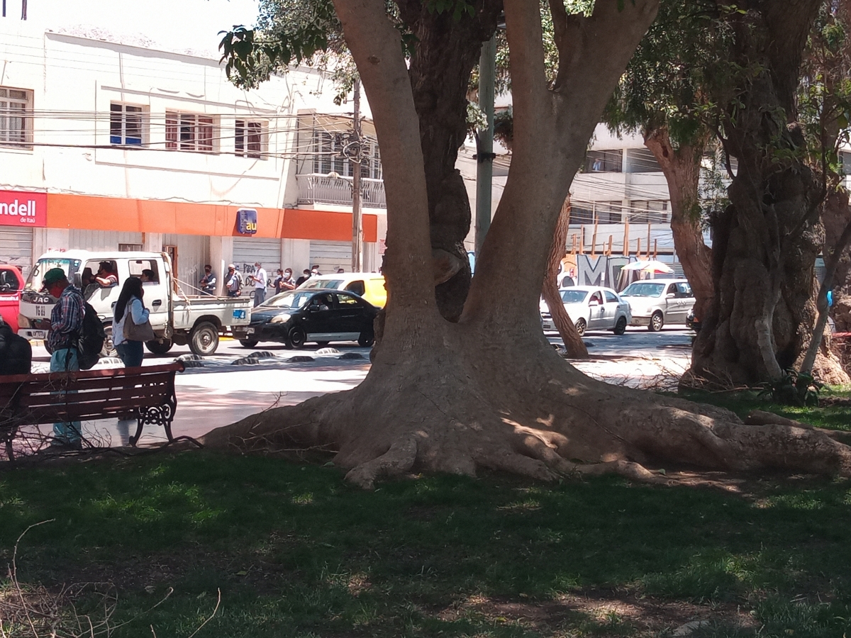 Vista de la plaza de Copiap 2